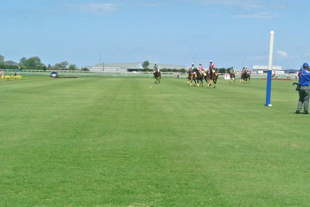 DSC 7900