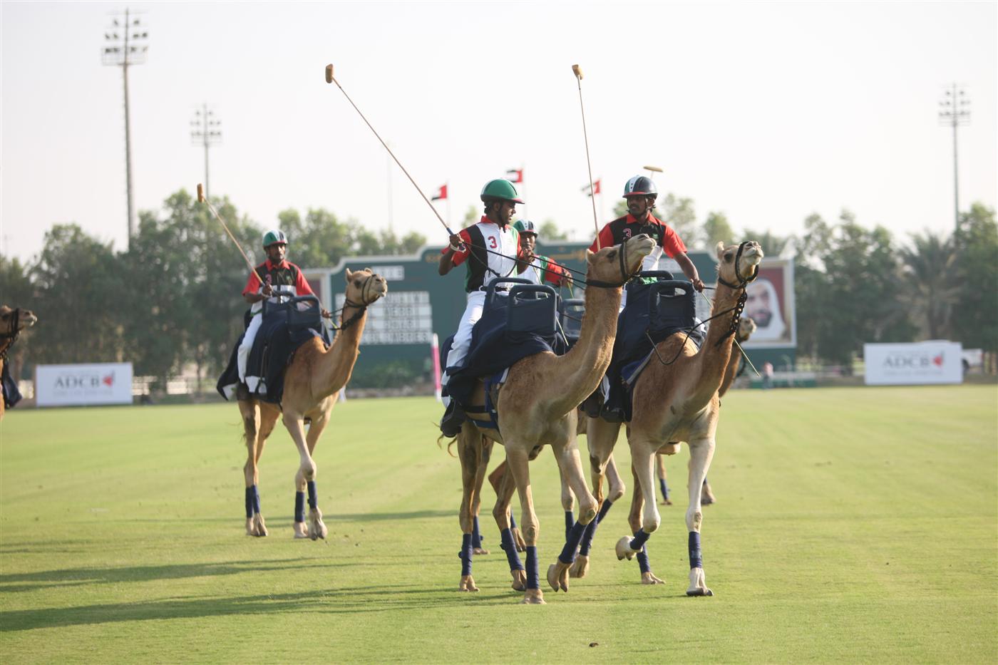 PP12 camel polo