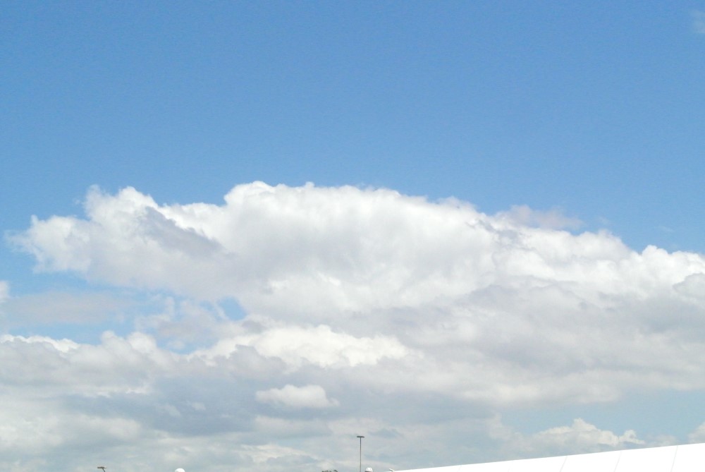 DSC 7545