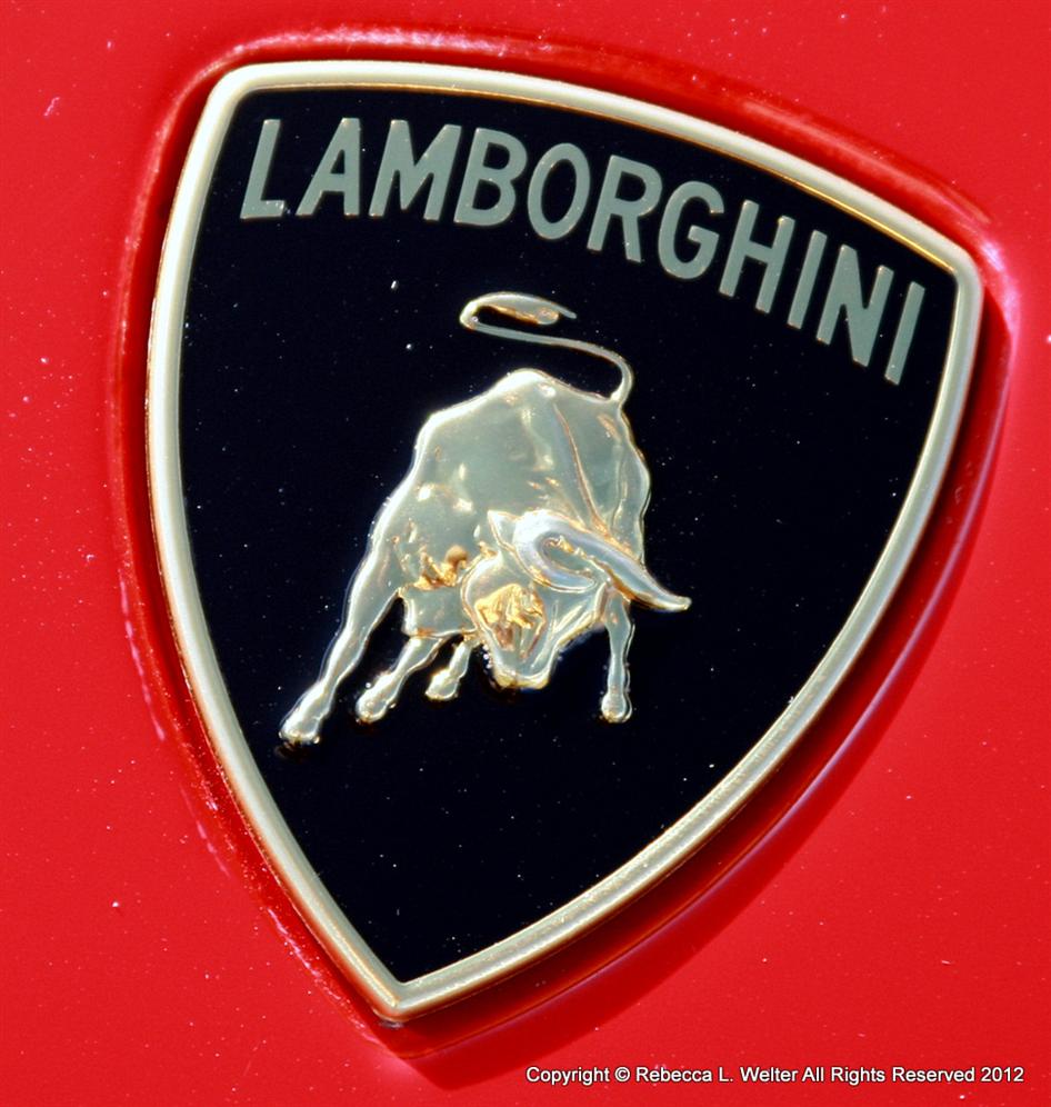 1-IMG 0444